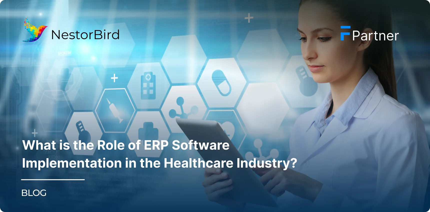 What is the Role of ERP Software Implementation in the Healthcare Industry?