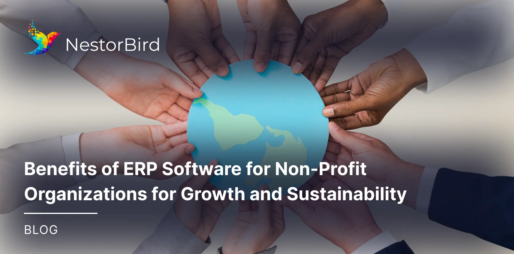 Benefits of ERP Software for Non-Profit Organizations for Growth and Sustainability
