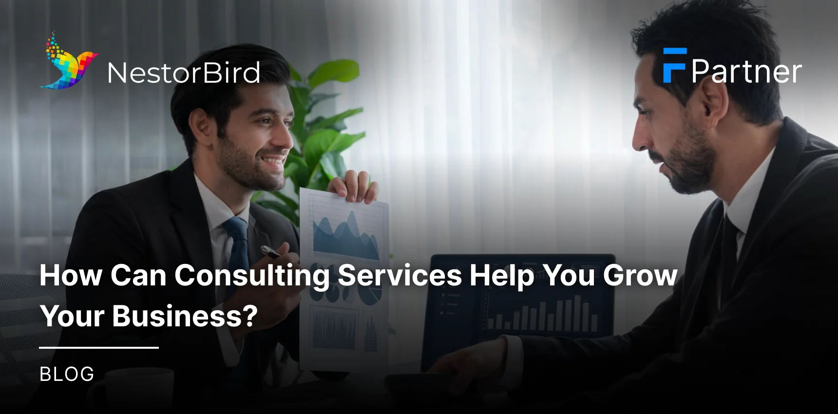 How Can Consulting Services Help You Grow Your Business?