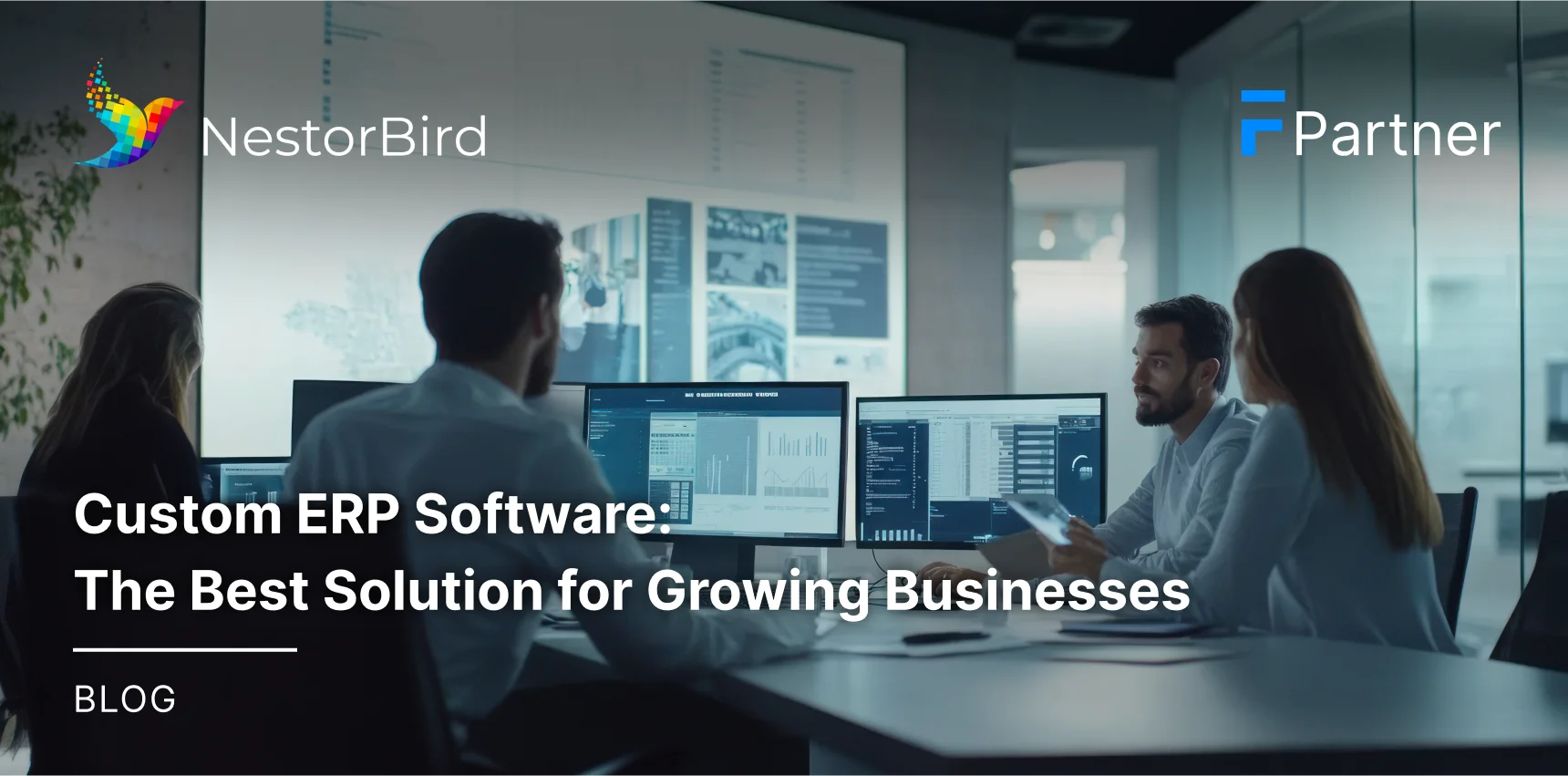 Custom ERP Software: The Best Solution for Growing Businesses