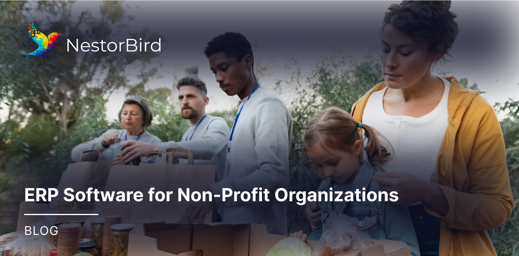 ERP Software for Non-Profit Organizations