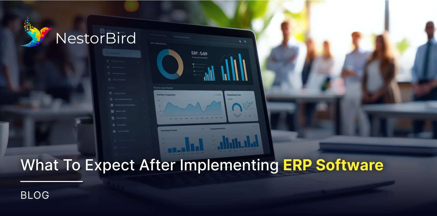 What To Expect After Implementing ERP Software