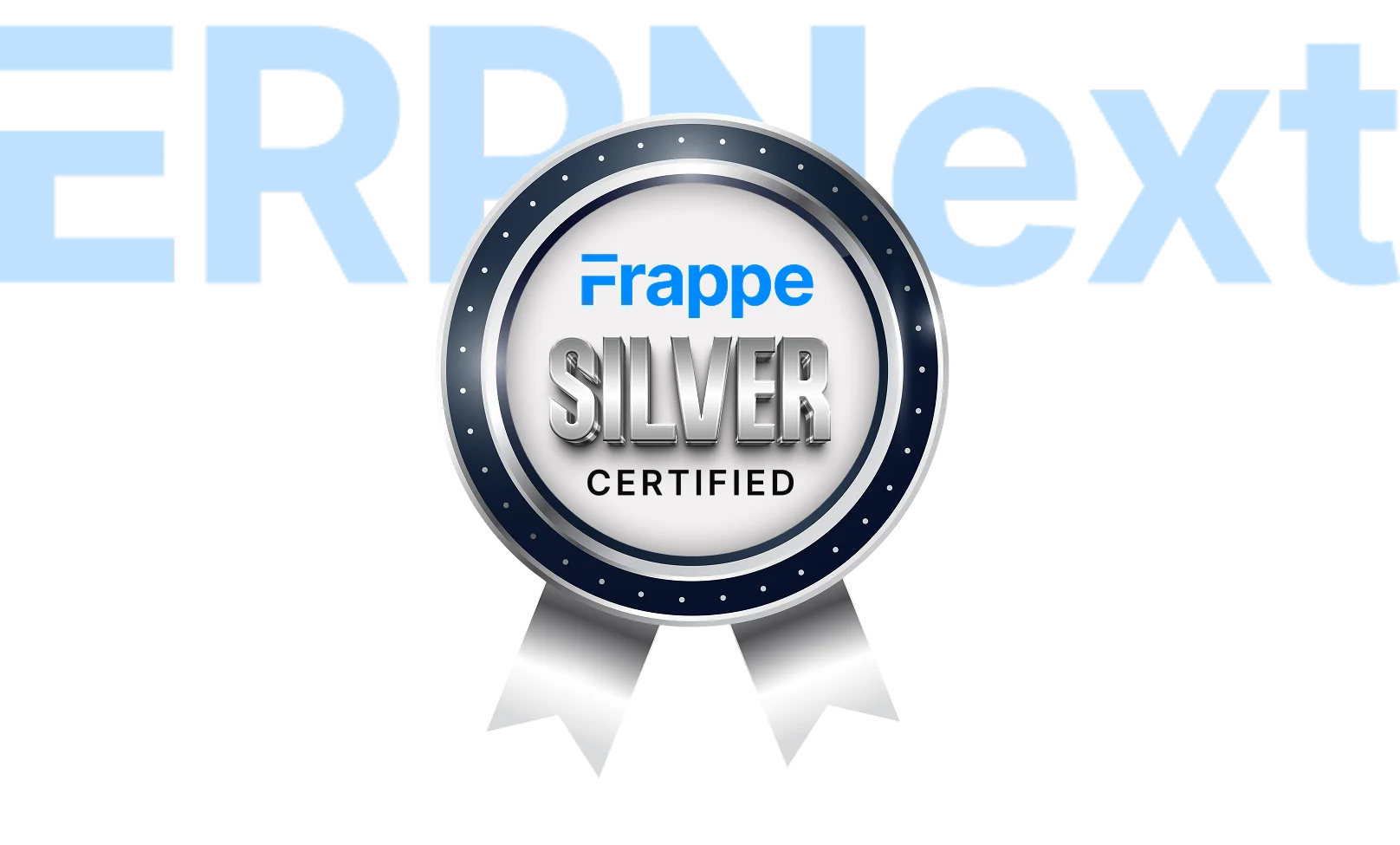 frappe-silver-partner