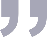 NestorBird ERP Solution