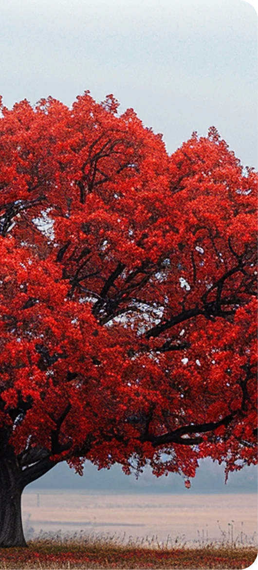 NestorBird ERP Solution