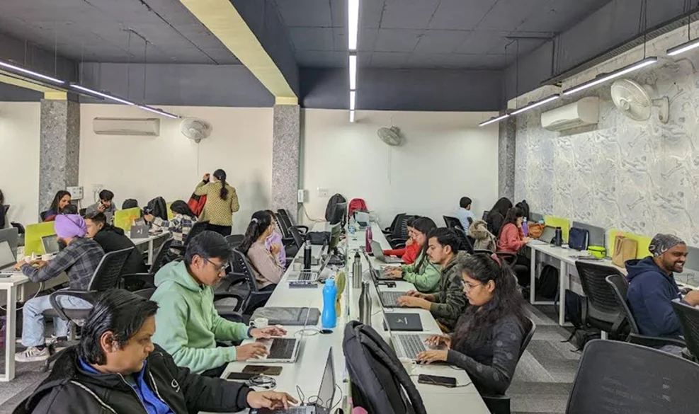 NestorBird Lifestyle