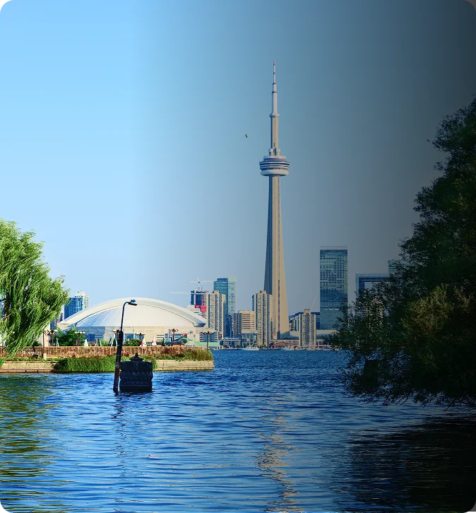 NestorBird ERP Solution