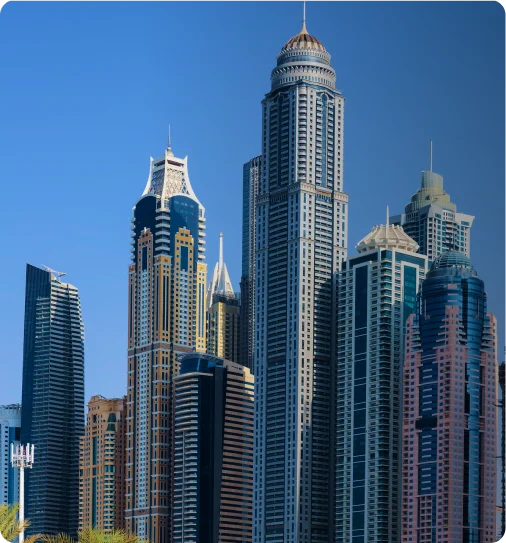 NestorBird ERP Solution