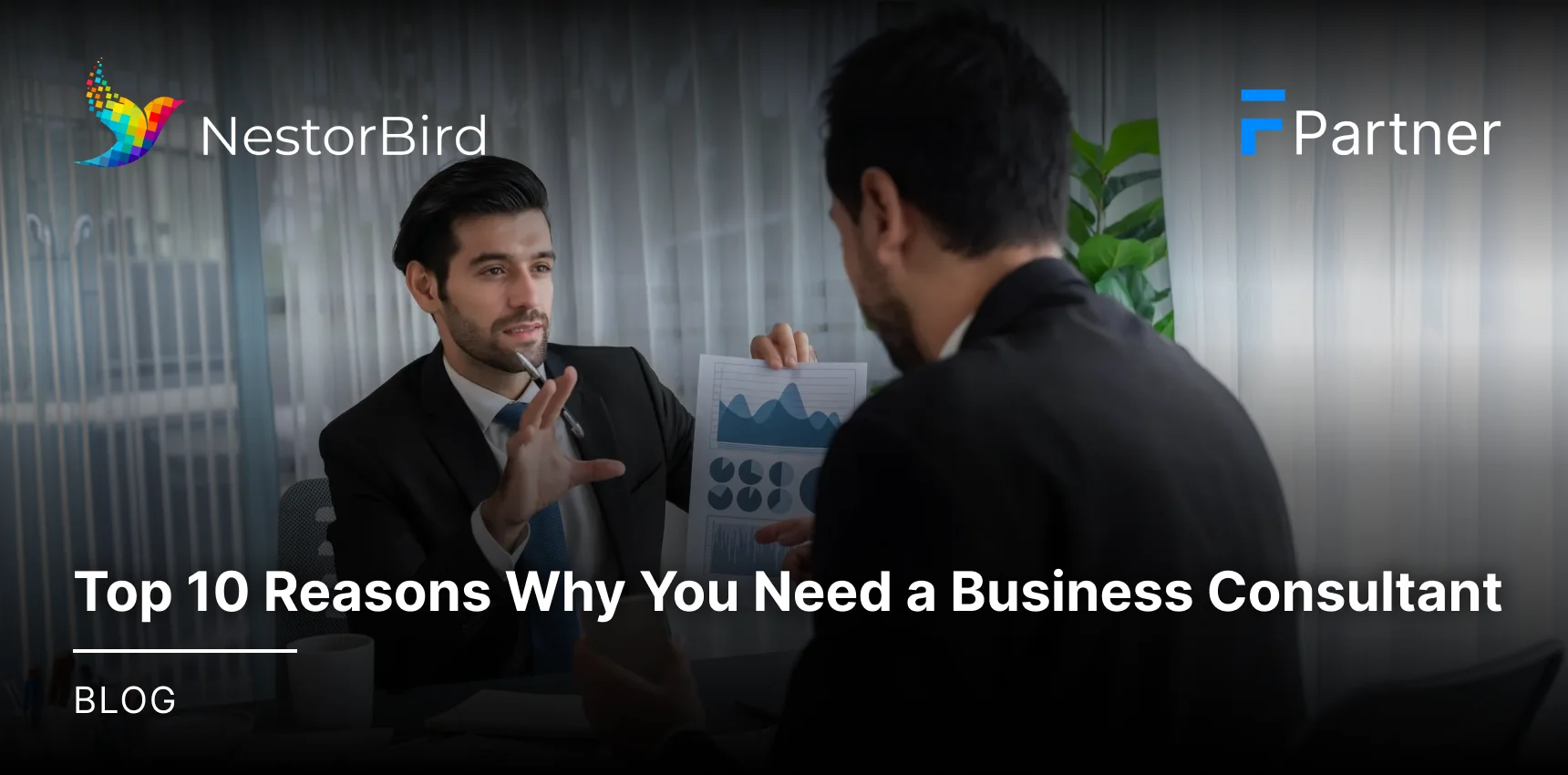 Top 10 Reasons Why You Need a Business Consultant