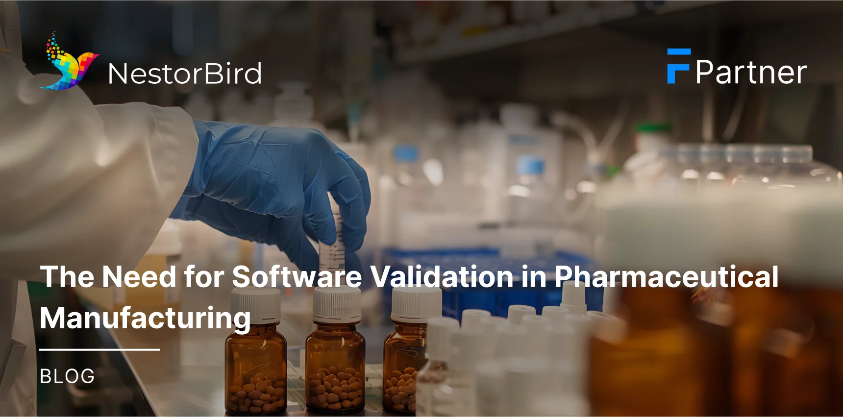 The Need for Software Validation in Pharmaceutical Manufacturing
